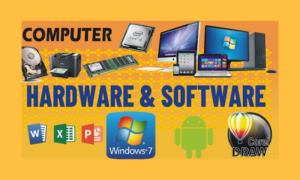 Computer Hardware and Software | Basic Computer Skills