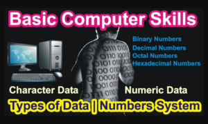Types of Data | Numbers System