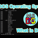 What is Dos