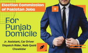 Election Commission of Pakistan (ECP) Jobs