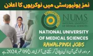 National University of Medical Sciences Jobs – NUMS-Rawalpindi Jobs